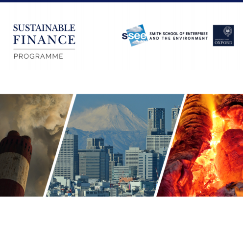 May 2016 - Stranded Assets and Thermal Coal in Japan: An analysis of environment-related risk exposure